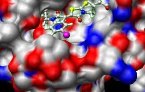 Quaxon Bio & IT Solutions