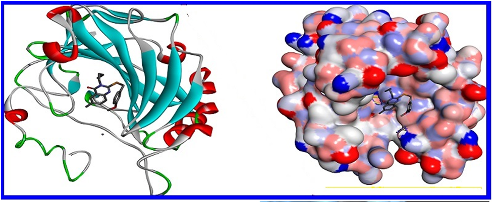 Virtual workshop on Molecular Docking